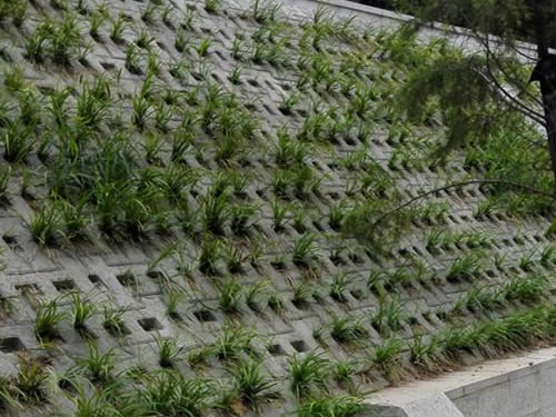 護坡透水磚施工